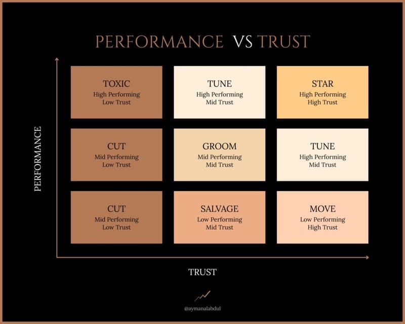 A Performance vs Trust nine-box matrix plotting team members by performance and trust, from Toxic and Cut to Groom, Star, and Move